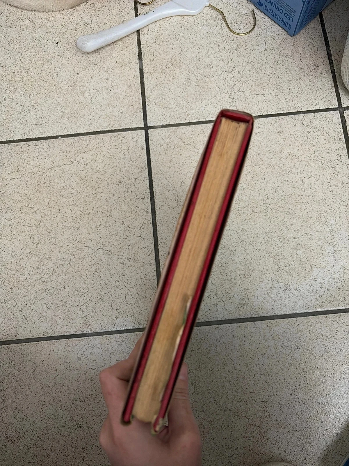 Boek hoe je je kamerplanten moet verzorgen – photo 6